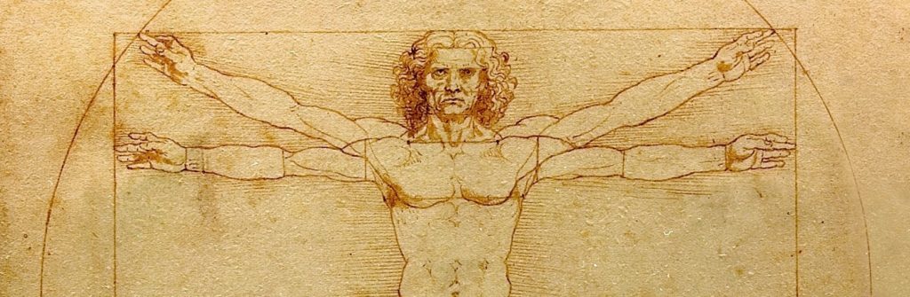da vinci program ventruvian man